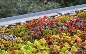 the cost of Camelford green roof installation