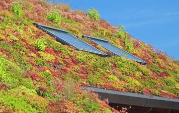 Camelford living roof systems