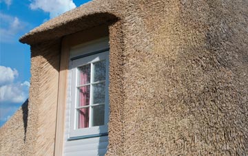 Camelford thatch roof disadvantages